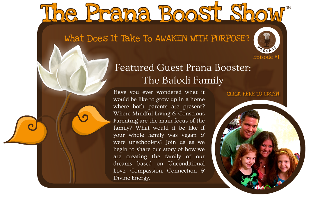 Have you ever wondered what it would be like to grow up in a home where both parents are present? Where Mindful Living & Conscious Parenting are the main focus of the family? What would it be like if your whole family was vegan & were unschoolers? Join us as we begin to share our story of how we are creating the family of our dreams based on Unconditional Love, Compassion, Connection & Divine Energy. 